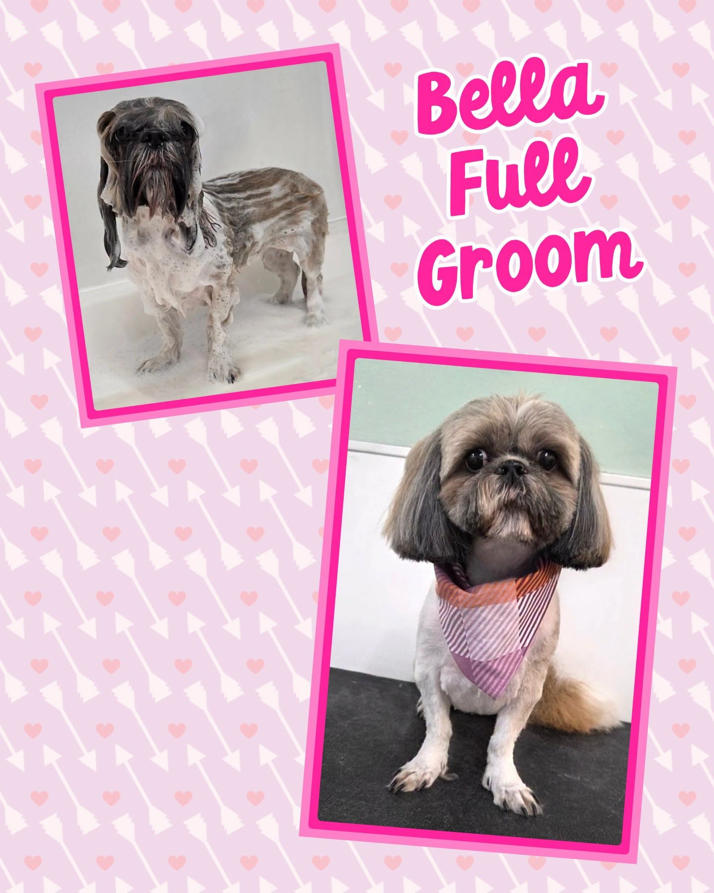 Bella after her full groom