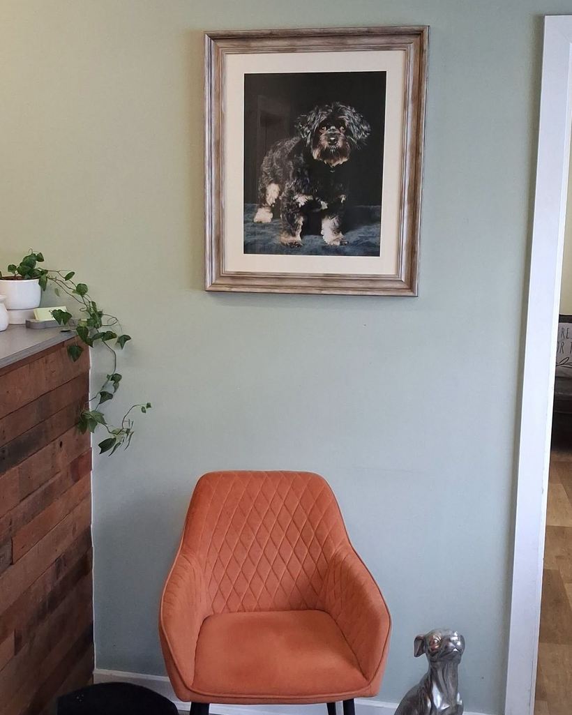 The salon corner at Wag & Bone — sage green walls, a terracotta velvet armchair and a framed dog portrait