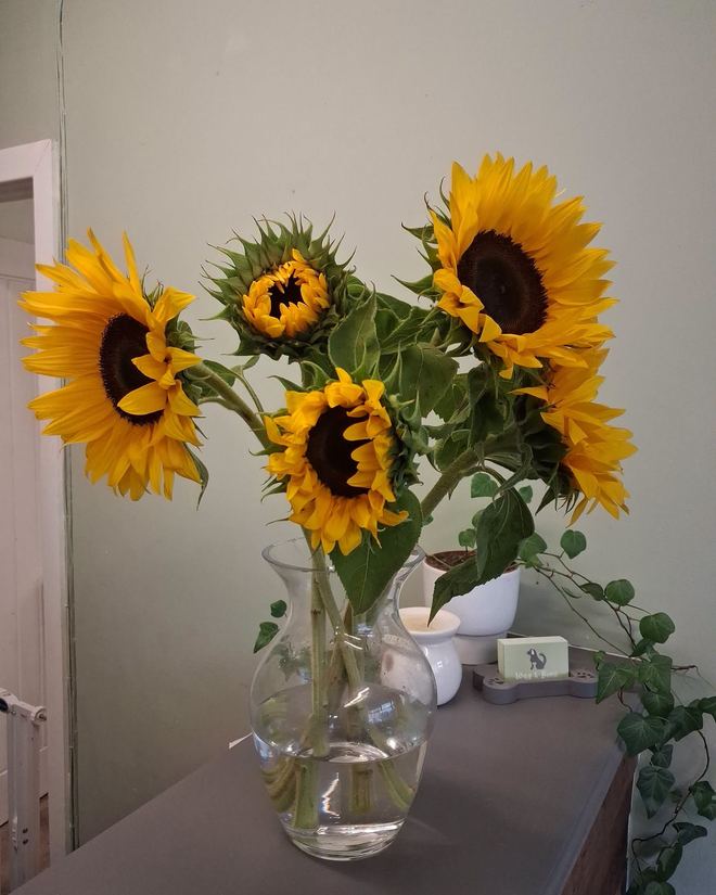 Fresh sunflowers in a glass vase on the salon side table
